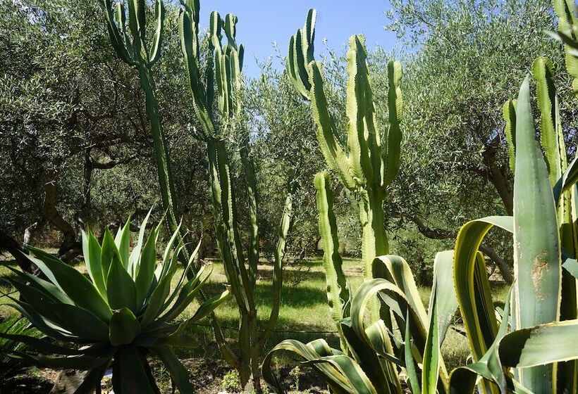 Medimare Residence Club