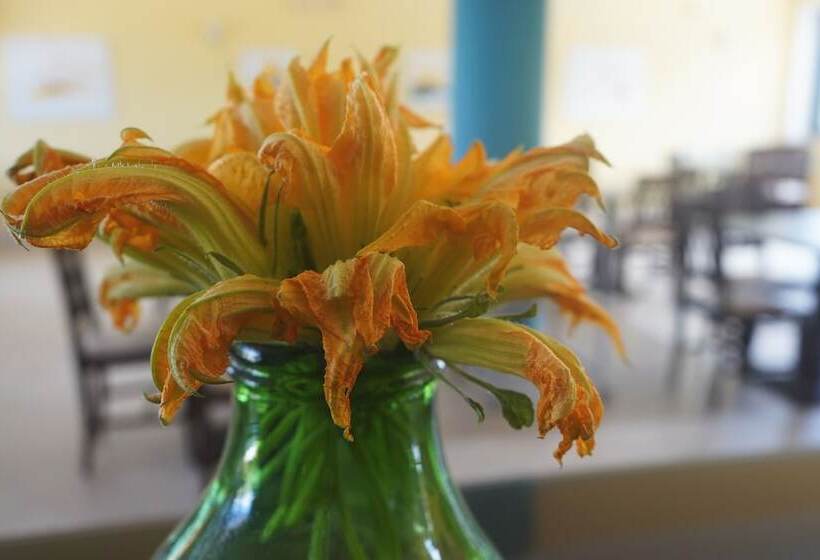 Medimare Residence Club