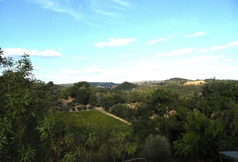 Podere Caldaruccio La Pineta