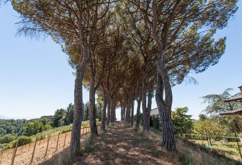 Podere Caldaruccio La Pineta