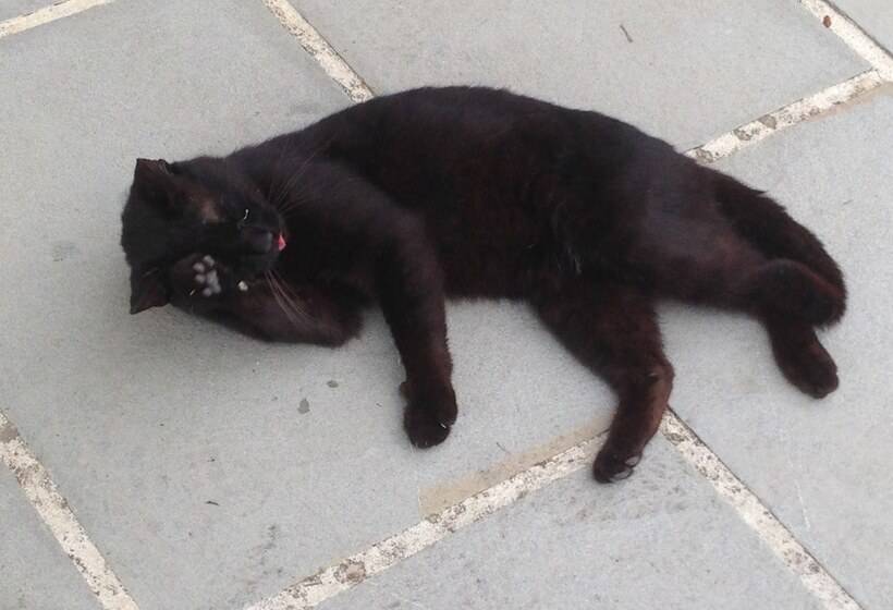 Residenza D'epoca Il Biribino