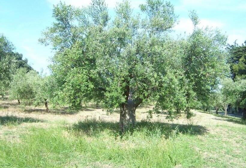 The Italian Countryside   Agriturismo Collina Delle Streghe