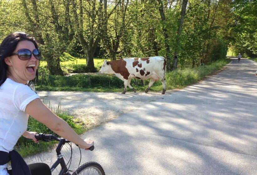 B&b Le Sourire Du Lac