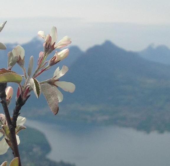 B&b Le Sourire Du Lac