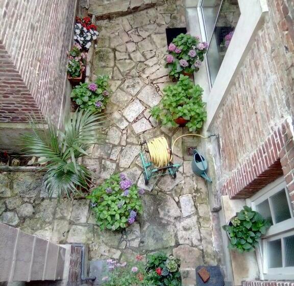 Bed and Breakfast Alex Guest House