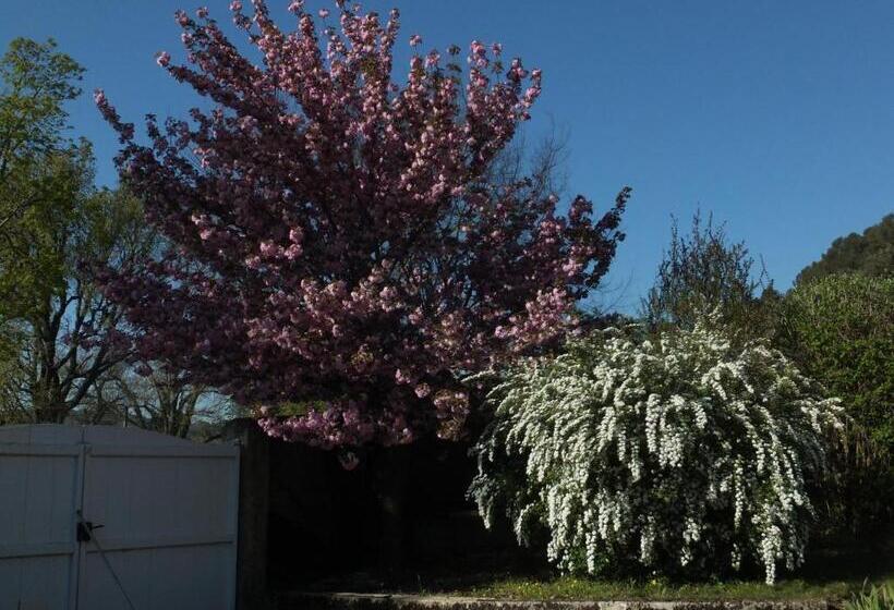 住宿加早餐 Bastide Du Bonheur Saint Donat