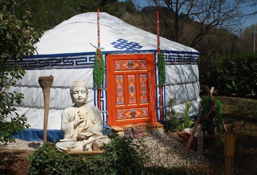 住宿加早餐 Bastide Du Bonheur Saint Donat