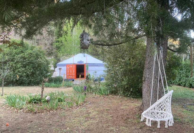 住宿加早餐 Bastide Du Bonheur Saint Donat