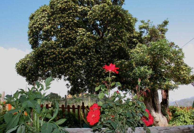 مبيت وإفطار Cà De Pria