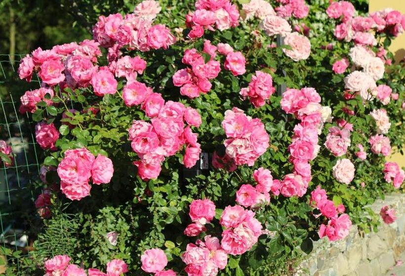 مبيت وإفطار Cà De Pria