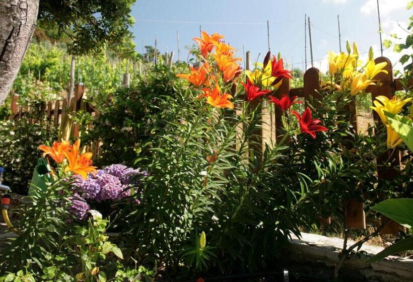 مبيت وإفطار Cà De Pria