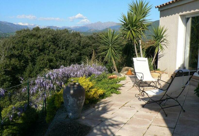 민박 Chambre D Hote Casa Tozza