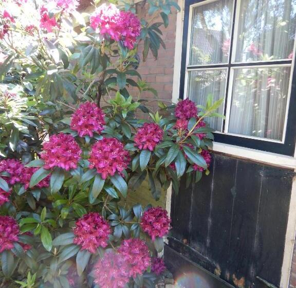 تختخواب و صبحانه Kozakkenhoeve Dalen