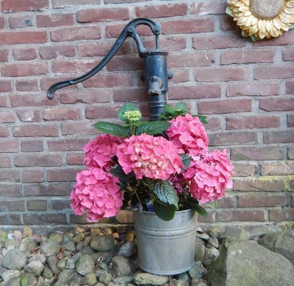 تختخواب و صبحانه Kozakkenhoeve Dalen