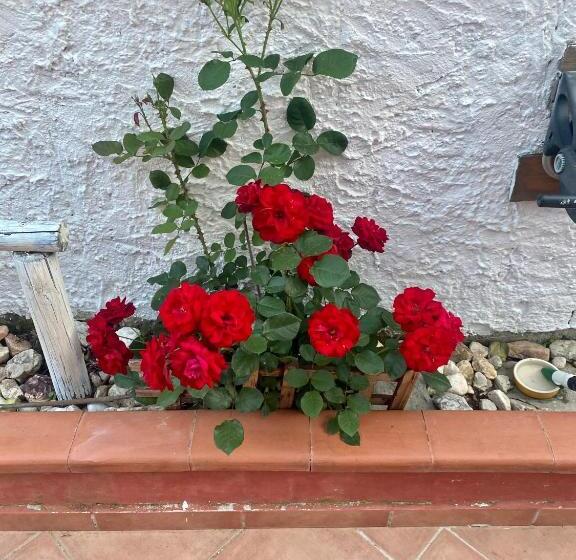 צימר L Oasi Di Chia