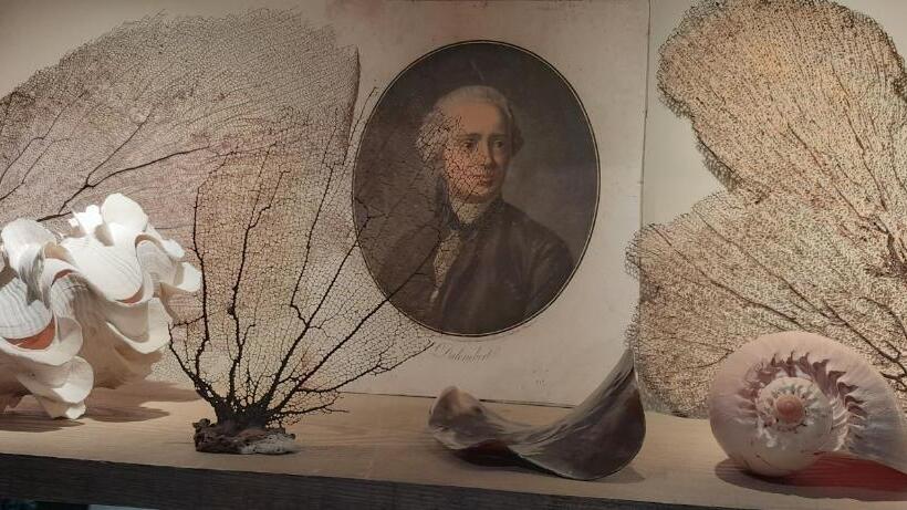 Bed and Breakfast La Chanoinesse