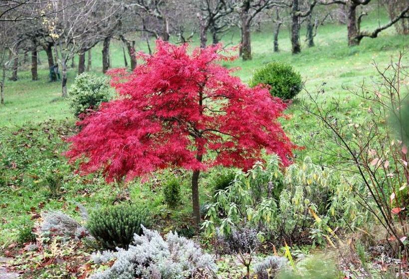 住宿加早餐  La Hulotte