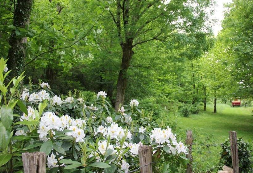 住宿加早餐  La Hulotte