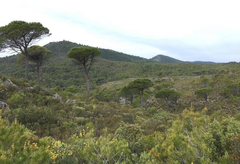 Bed and Breakfast La Villa Aux Oliviers