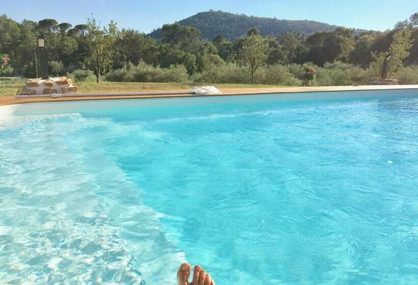 Bed and Breakfast La Villa Aux Oliviers