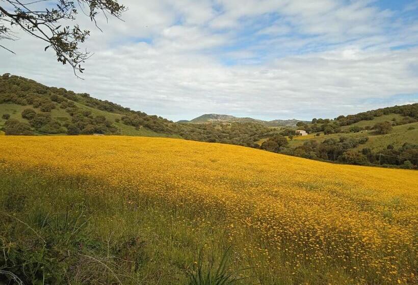 住宿加早餐 Lo Stazzo