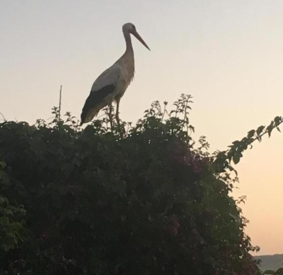 צימר Maison D Hotes Berbari