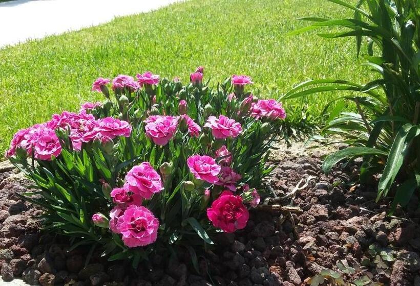 مبيت وإفطار Residenza Leon