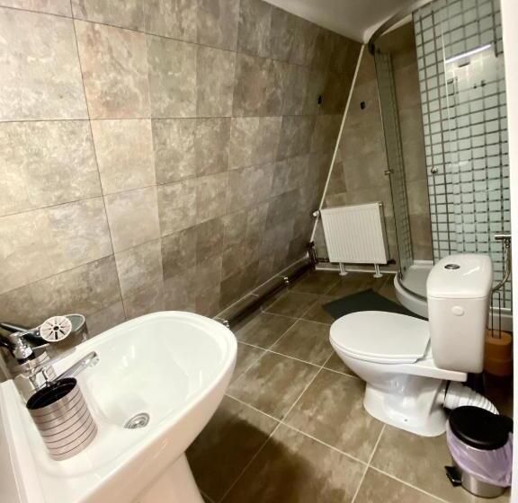 Bed and Breakfast Restaurant Pensiunea Carmen