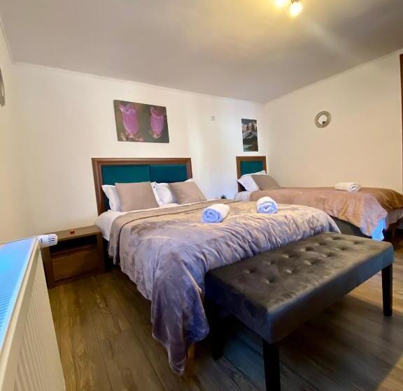 Bed and Breakfast Restaurant Pensiunea Carmen