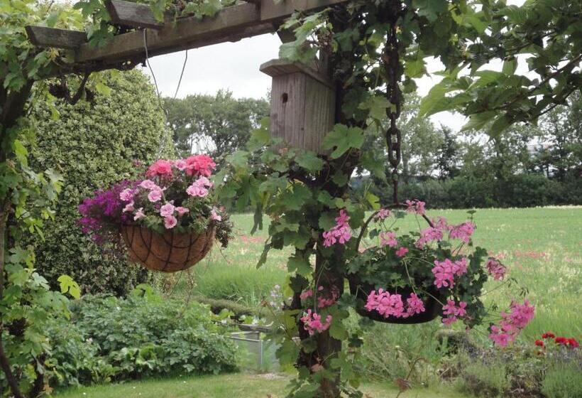 مبيت وإفطار Riethove