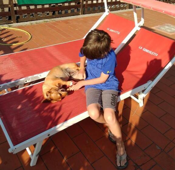 ベッドアンドブレックファースト Segni E Impronta