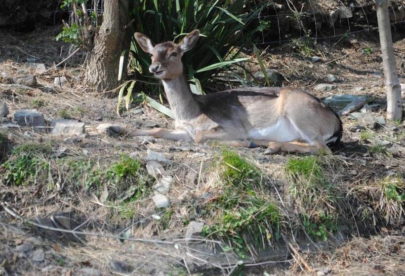 ベッドアンドブレックファースト Segni E Impronta