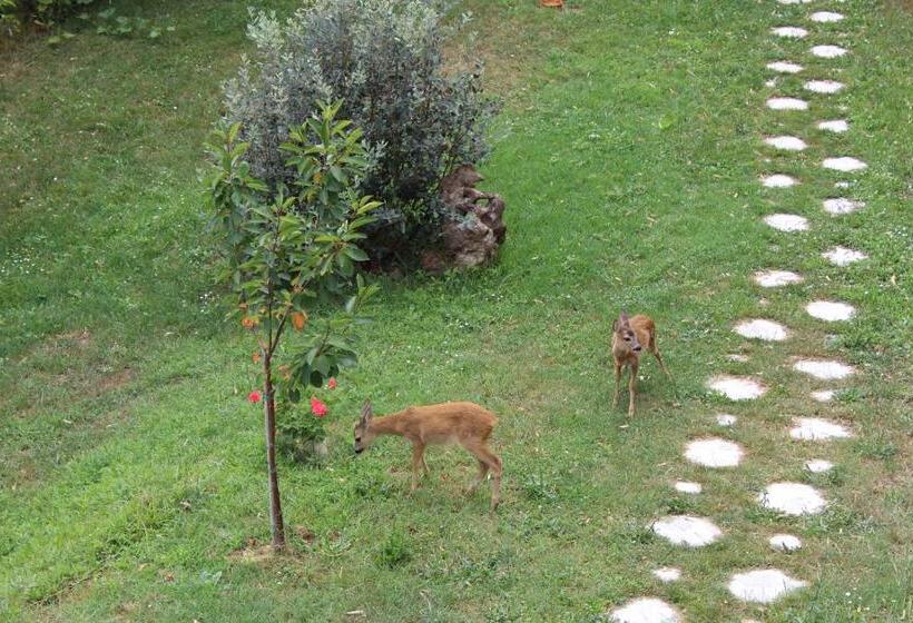 ベッドアンドブレックファースト Segni E Impronta