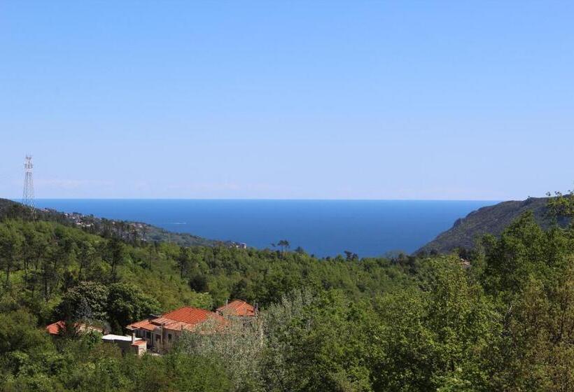 ベッドアンドブレックファースト Segni E Impronta