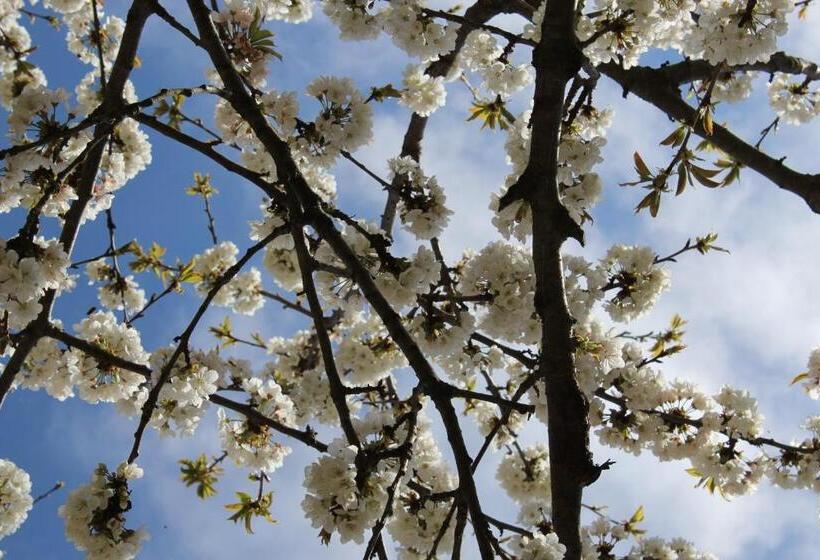 ベッドアンドブレックファースト Segni E Impronta