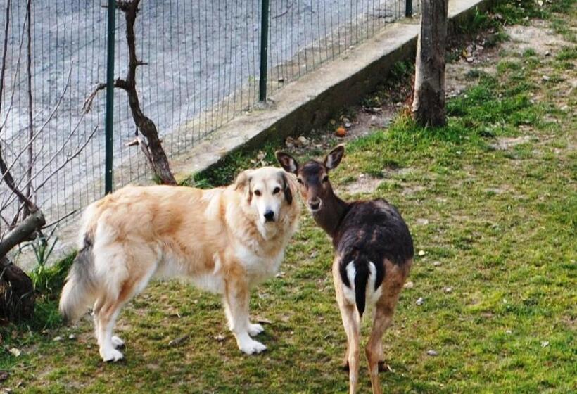 ベッドアンドブレックファースト Segni E Impronta