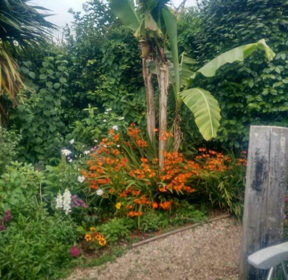 ベッドアンドブレックファースト Tilly Cottage