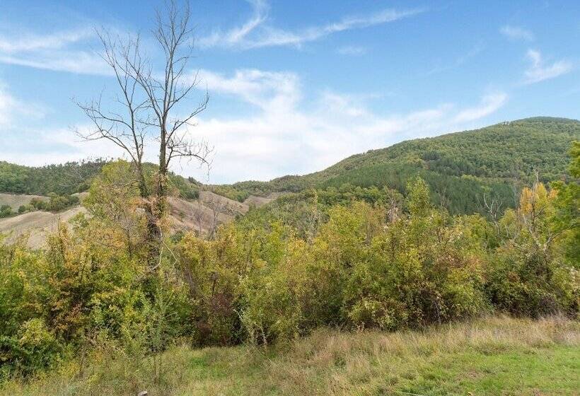 Captivating Apartment In Assisi With Swimming Pool