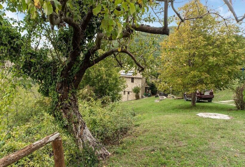 Captivating Apartment In Assisi With Swimming Pool