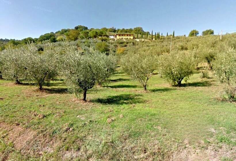 Country House With Swimming Pool And Garden With Mediterranean Plants