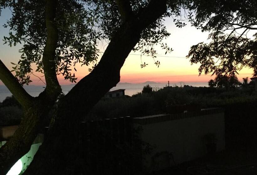 Delta Club Residence