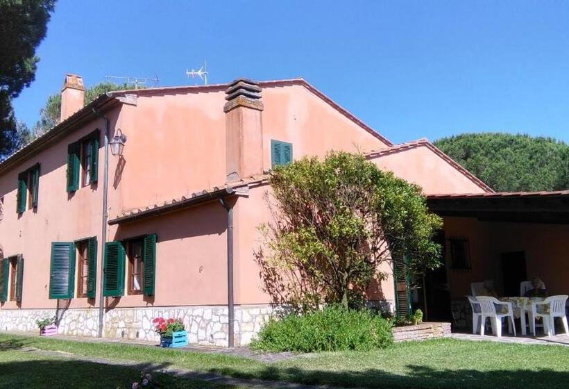 酒店 Agriturismo Sughericcio