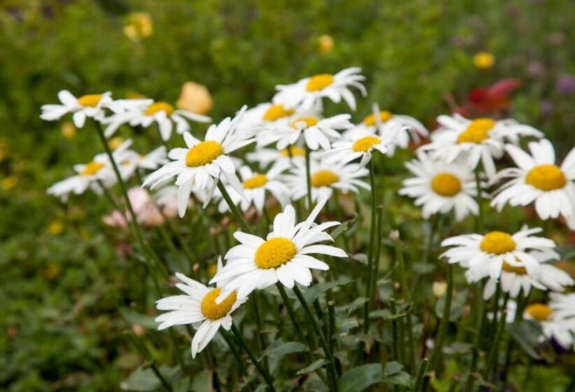فندق Berggasthof Ferienbauernhof Habersatt