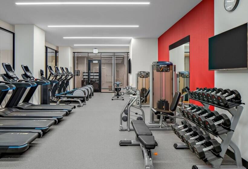 هتل Hilton Garden Inn Chicago Mccormick Place