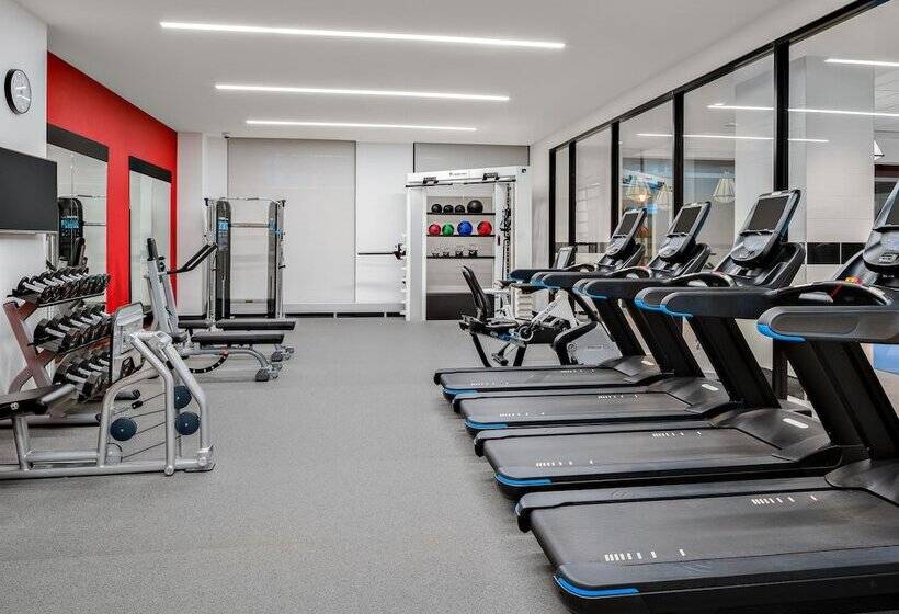 هتل Hilton Garden Inn Chicago Mccormick Place