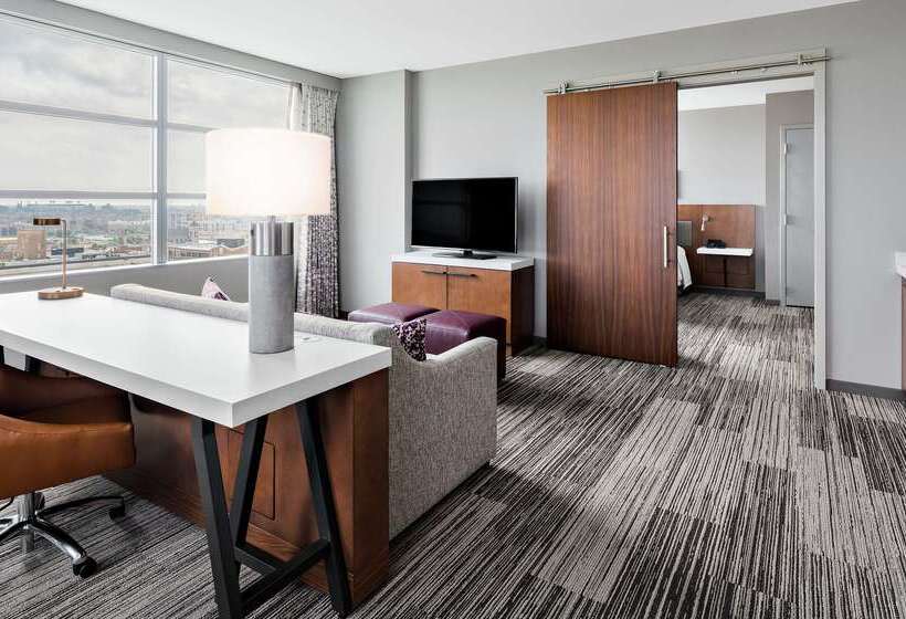 בית מלון כפרי Hilton Garden Inn Chicago Mccormick Place