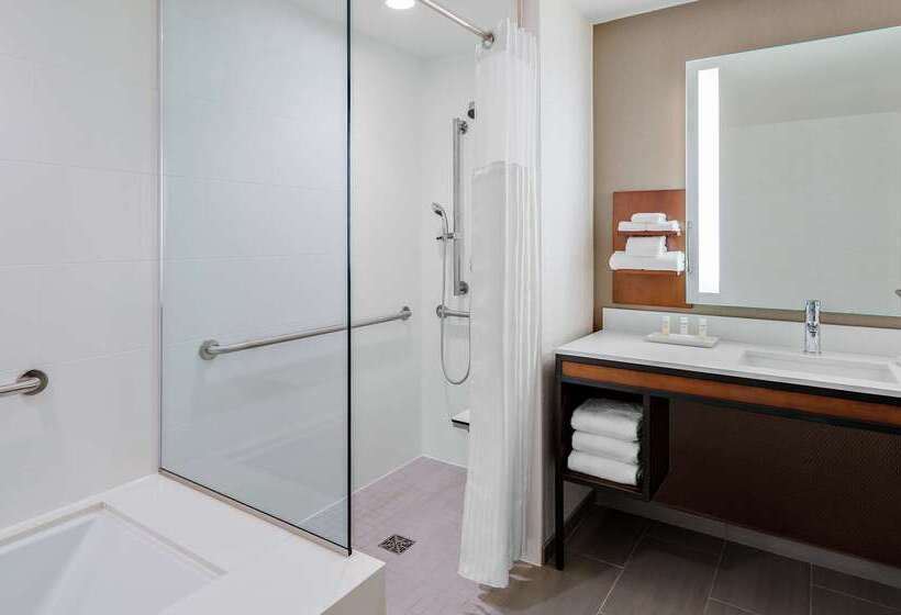 هتل Hilton Garden Inn Chicago Mccormick Place