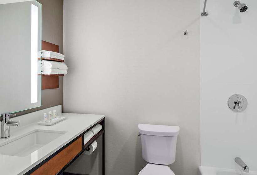 هتل Hilton Garden Inn Chicago Mccormick Place