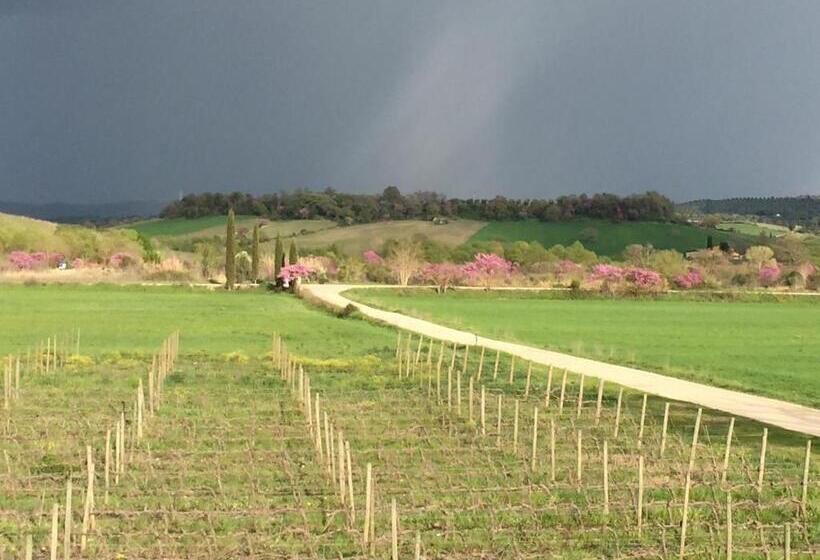 فندق Il Girasole Terzuolo