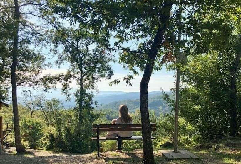 호텔 Safaritent Glamping Orlando In Chianti